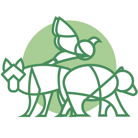 success icon